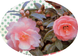 群馬県佐波郡東村