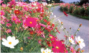 �R�X���X�X��