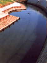 �t�̖K���m�点����