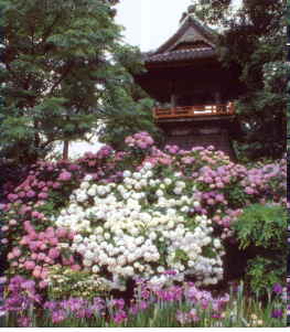 �߂ʂ܂����������\�쎛