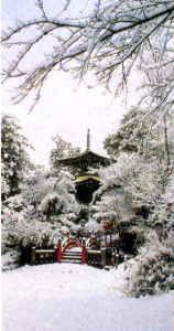 ��̕��a�̓�