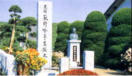 �����q�j�Ռ���